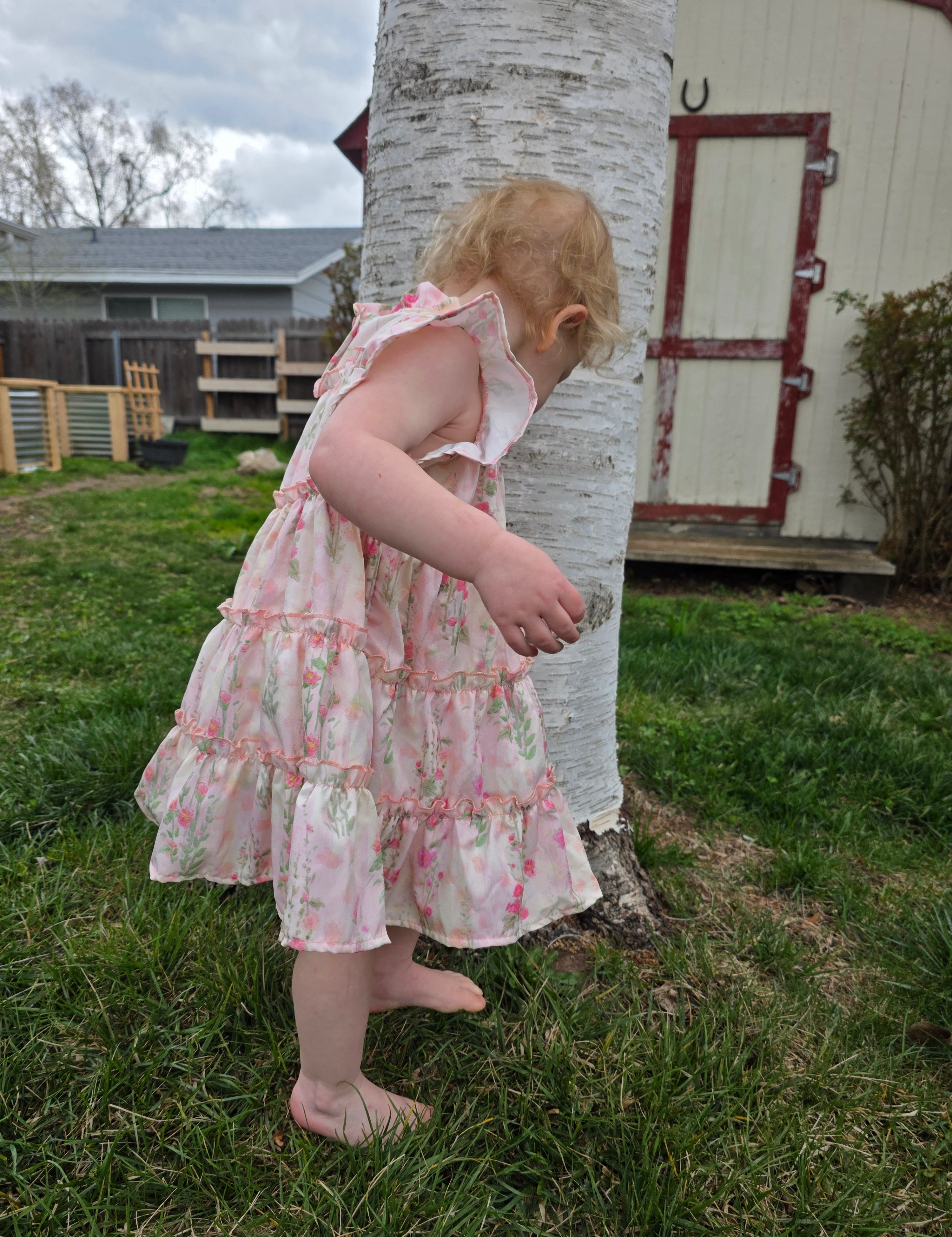 Roses & Ruffles Flutter Dress