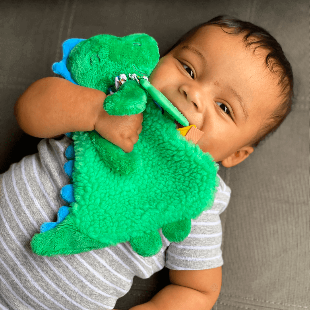 Itzy Lovey™ Dino Plush + Teether - Evvie Bean's Baby Boutique